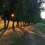 San Bernardo 3 Estrellas *