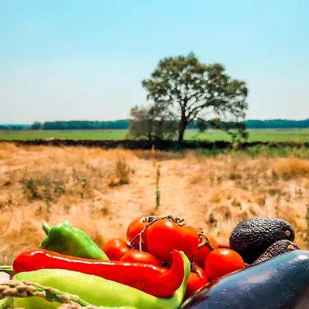 San Bernardo 3 Estrellas בית אירוח *