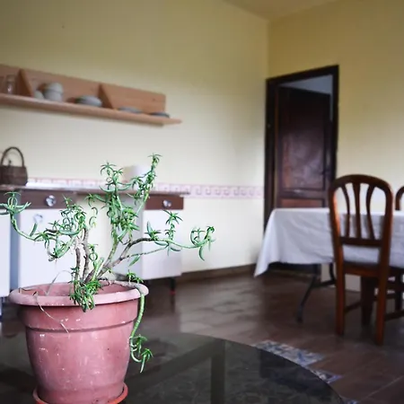 בית אירוח San Bernardo 3 Estrellas