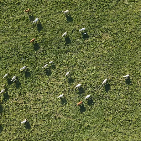 בית אירוח San Bernardo 3 Estrellas