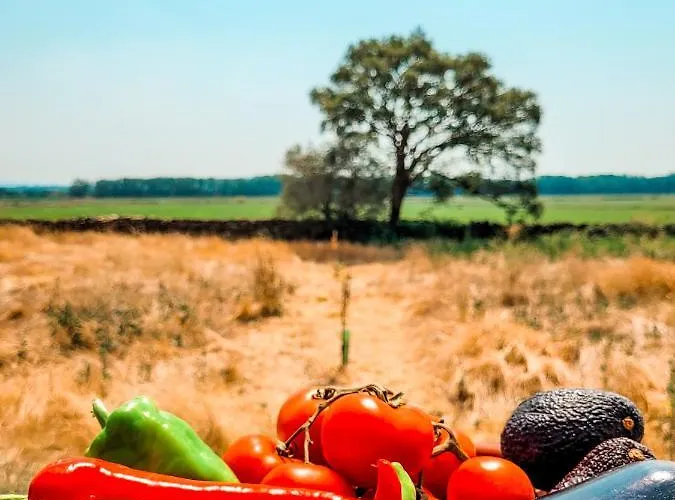 San Bernardo 3 Estrellas Habitación en casa particular *