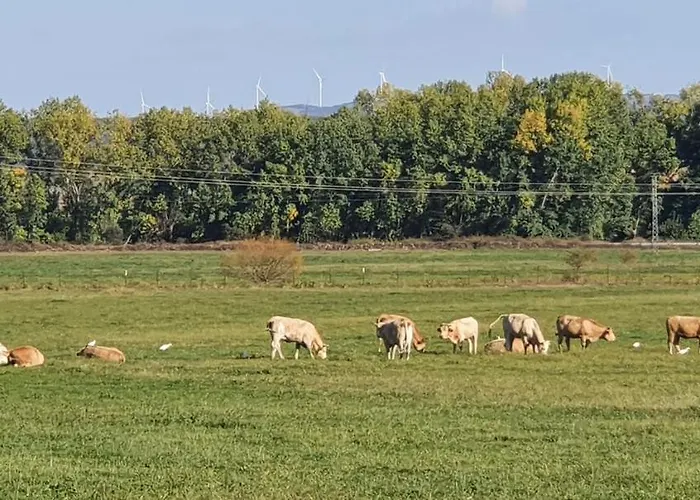 San Bernardo 3 Estrellas *