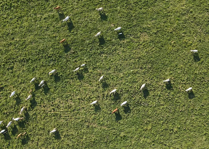 Habitación en casa particular San Bernardo 3 Estrellas